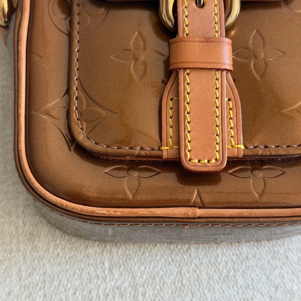Louis Vuitton stylish brown